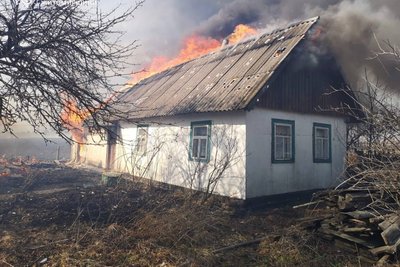 115 загорянь сухої трави за добу на Житомирщині — на двох із них травмувалися люди 115 загорянь сухої трави за добу на Житомирщині — на двох із них травмувалися люди