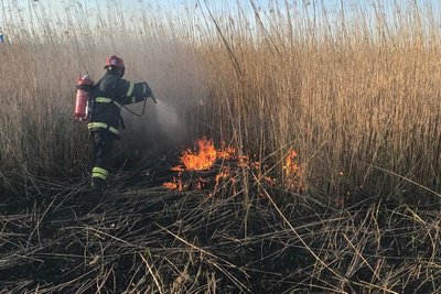 В Луцькому районі згоріло два гектари поля. Палія шукають В Луцькому районі згоріло два гектари поля. Палія шукають