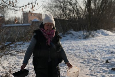 На Сумщині тривають морози: як врятувати вуличних тварин і птахів від переохолодження На Сумщині тривають морози: як врятувати вуличних тварин і птахів від переохолодження