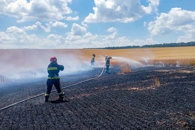 Вогонь знищив два гектари з урожаєм: на Вінниччині горіло пшеничне поле Вогонь знищив два гектари з урожаєм: на Вінниччині горіло пшеничне поле