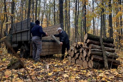 Заготівля дров Заготівля дров