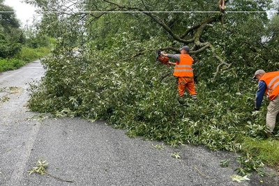 Чотири десятки повалених дерев і підтоплені будинки: наслідки негоди на Житомирщині Чотири десятки повалених дерев і підтоплені будинки: наслідки негоди на Житомирщині