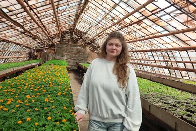 Чорнобривці, канни і колеуси — як у Житомирі готуються до весняної висадки квітів Чорнобривці, канни і колеуси — як у Житомирі готуються до весняної висадки квітів