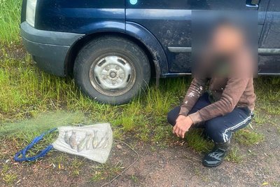 Ловили рибу "павуками" та зашкодили господарству — на Житомирщині судитимуть 2 місцевих жителів Ловили рибу "павуками" та зашкодили господарству — на Житомирщині судитимуть 2 місцевих жителів