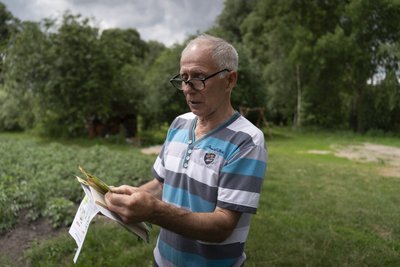 Поголів’я корів на Сумщині скоротилося на 4%: які причини Поголів’я корів на Сумщині скоротилося на 4%: які причини