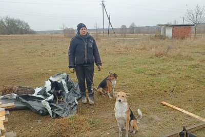 На Житомирщині ексвійськовій і волонтерці з Луганщини побили автівку — справу розслідує поліція На Житомирщині ексвійськовій і волонтерці з Луганщини побили автівку — справу розслідує поліція