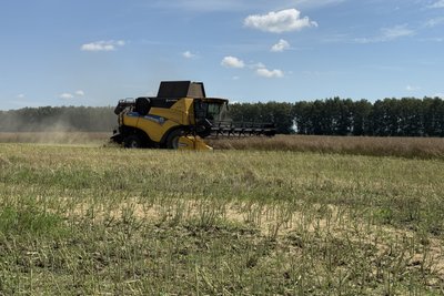 Жнива на Роменщині: як аграрії працюють в умовах війни та перші результати зборів Жнива на Роменщині: як аграрії працюють в умовах війни та перші результати зборів