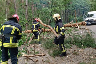 Буревій на Житомирщині: упродовж доби рятувальники прибрали понад 6 десятків повалених дерев Буревій на Житомирщині: упродовж доби рятувальники прибрали понад 6 десятків повалених дерев