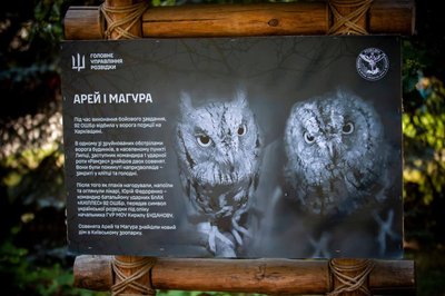 ГУР передав врятованих із зони бойових дій совенят Київському зоопарку ГУР передав врятованих із зони бойових дій совенят Київському зоопарку