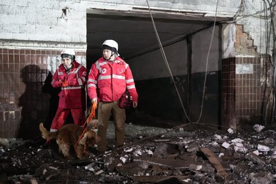 собака шукає поранених харків собака шукає поранених харків