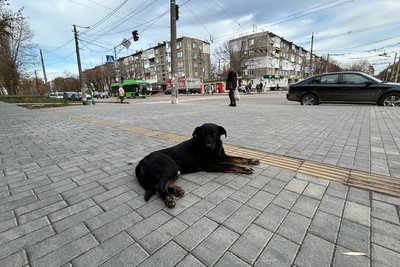 Ветеран війни із Вінниці тестував Житомир на доступність та безбар'єрність Ветеран війни із Вінниці тестував Житомир на доступність та безбар'єрність