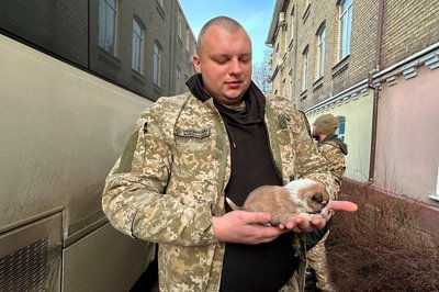 Прикордонник привіз у Луцьк врятоване на фронті цуценя Прикордонник привіз у Луцьк врятоване на фронті цуценя