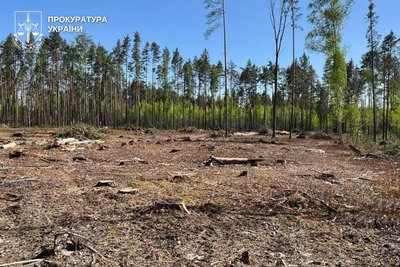 На Житомирщині чотирьох чоловіків підозрюють у незаконних порубках лісу на суму у понад один мільйон гривень На Житомирщині чотирьох чоловіків підозрюють у незаконних порубках лісу на суму у понад один мільйон гривень