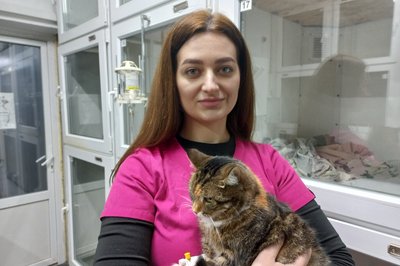 "Помер за дві години після прогулянки". Житель Дніпра заявляє, що його собаку отруїли "догхантери" "Помер за дві години після прогулянки". Житель Дніпра заявляє, що його собаку отруїли "догхантери"