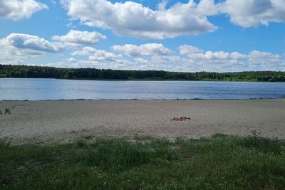 Відпочинок на пляжах Житомирщини — у яких водоймах вода не відповідає санітарним нормам Відпочинок на пляжах Житомирщини — у яких водоймах вода не відповідає санітарним нормам