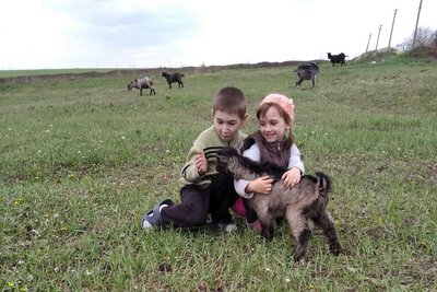 Історія багатодітної родини з Донеччини, які живуть на Рівненщині Історія багатодітної родини з Донеччини, які живуть на Рівненщині