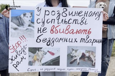 "Безпритульні тварини також хочуть жити": на Одещині мітингували проти жорстокого поводження з тваринами "Безпритульні тварини також хочуть жити": на Одещині мітингували проти жорстокого поводження з тваринами