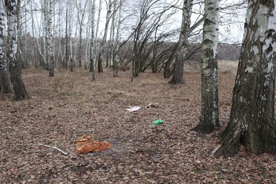 29 грудня тіло зниклого знайшли на околицях населеного пункту у лісосмузі 29 грудня тіло зниклого знайшли на околицях населеного пункту у лісосмузі