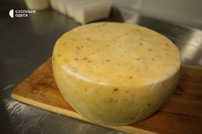 Продали машину, купили корів та відкрили сироварню: як подружжя з Одещини розвиває свою справу під час війни Продали машину, купили корів та відкрили сироварню: як подружжя з Одещини розвиває свою справу під час війни