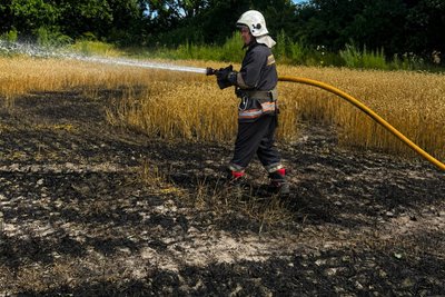 Внаслідок російського обстрілу на Житомирщині знищені 2 гектари пшениці Внаслідок російського обстрілу на Житомирщині знищені 2 гектари пшениці