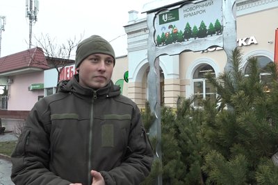 Ялинкові базари у Житомирі — скільки коштують хвойні дерева та різдвяні композиції Ялинкові базари у Житомирі — скільки коштують хвойні дерева та різдвяні композиції