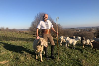 "Лабораторія українського вівчарства". На Івано-Франківщині вивели нові породи овець "Лабораторія українського вівчарства". На Івано-Франківщині вивели нові породи овець