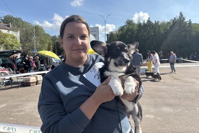 На Житомирщині відбулася всеукраїнська виставка собак: представили більше 60 порід собак На Житомирщині відбулася всеукраїнська виставка собак: представили більше 60 порід собак