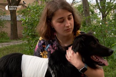 Тварини і війна: як вберегти собаку під час обстрілів Тварини і війна: як вберегти собаку під час обстрілів