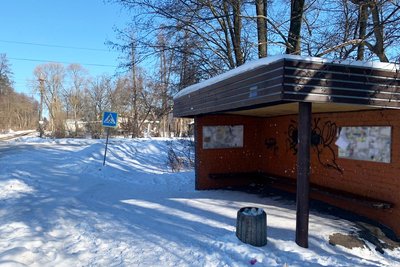 Житомирські поліцейські підозрюють чоловіка в тому, що він направляв зброю на людей