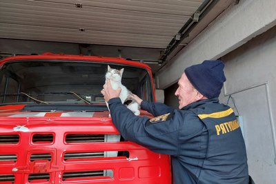 Кішка Мурка із водієм пожежної машини Василем Кішка Мурка із водієм пожежної машини Василем