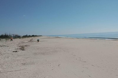 курорт Катранка, мазут на пляжі Одеса курорт Катранка, мазут на пляжі Одеса