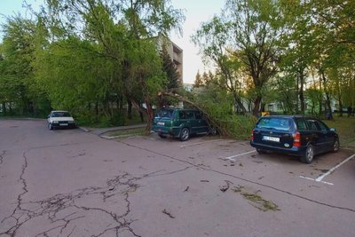 Повалені дерева, покрівлі та електролінії: у Луцьку комунальники ліквідовують наслідки негоди Повалені дерева, покрівлі та електролінії: у Луцьку комунальники ліквідовують наслідки негоди