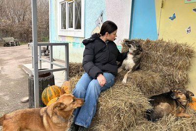 Собака на ім’я Вовчиця живе у житомирському центрі захисту тварин та шукає родину Собака на ім’я Вовчиця живе у житомирському центрі захисту тварин та шукає родину