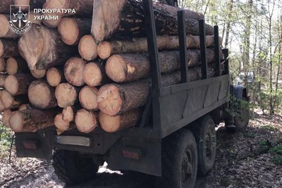 На Житомирщині чотирьох чоловіків підозрюють у незаконних порубках лісу на суму у понад один мільйон гривень На Житомирщині чотирьох чоловіків підозрюють у незаконних порубках лісу на суму у понад один мільйон гривень