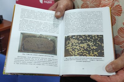 Інновації в бджільництві і потреба в держпідтримці: голова клубу пасічників Житомирщини про ситуацію в галузі Інновації в бджільництві і потреба в держпідтримці: голова клубу пасічників Житомирщини про ситуацію в галузі