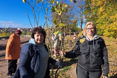 В Житомирі на Замковій горі переселенці висадили бузкову "Алею вдячності" В Житомирі на Замковій горі переселенці висадили бузкову "Алею вдячності"