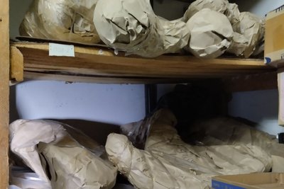 Скелет мамонта у будівлі церкві: як зберігають музейний експонат у Житомирі Скелет мамонта у будівлі церкві: як зберігають музейний експонат у Житомирі
