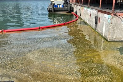 Унаслідок атаки РФ по Одещині у Чорне море потрапила олія: збитки середовищу оцінили у 152 млн грн