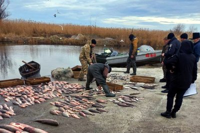 На Одещині затримали браконьєрів, які наловили риби на півтора мільйона гривень На Одещині затримали браконьєрів, які наловили риби на півтора мільйона гривень