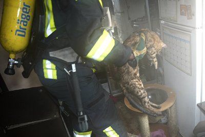 У центрі Одеси сталась пожежа: врятували кота У центрі Одеси сталась пожежа: врятували кота