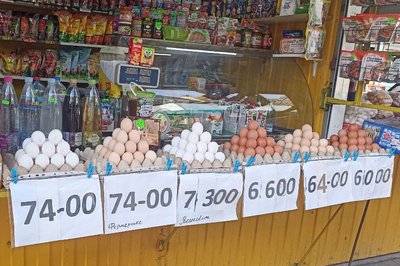Зростають ціни на яйця: скільки коштує цей продукт в Житомирі та від чого залежить його ціна Зростають ціни на яйця: скільки коштує цей продукт в Житомирі та від чого залежить його ціна