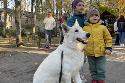 Чотирилапі терапевти: як собаки допомагають маленьким пацієнтам миколаївської лікарні Чотирилапі терапевти: як собаки допомагають маленьким пацієнтам миколаївської лікарні