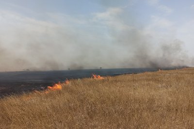 За добу на Миколаївщині обстріли російськими військами спричинили дві пожежі За добу на Миколаївщині обстріли російськими військами спричинили дві пожежі