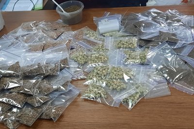 Насіння овочів для переселенців Насіння овочів для переселенців