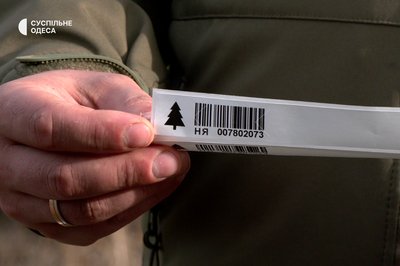 У середньому 200 грн за ялинку: як у лісництві на Одещині вирощують та продають новорічні дерева У середньому 200 грн за ялинку: як у лісництві на Одещині вирощують та продають новорічні дерева