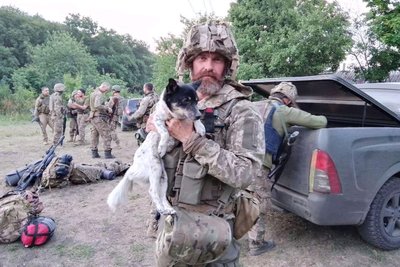 Долина-Житомир-Франція, або історія порятунку пораненого на війні пса Долина-Житомир-Франція, або історія порятунку пораненого на війні пса