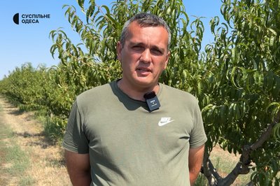 На Одещині зібрали врожай з органічних кавунів, персиків та соняшнику На Одещині зібрали врожай з органічних кавунів, персиків та соняшнику