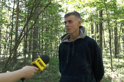 Збір та продаж чорниць у Житомирській області: скільки коштує ягода і чи багато є цьогоріч Збір та продаж чорниць у Житомирській області: скільки коштує ягода і чи багато є цьогоріч
