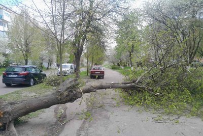 Знеструмлено понад 18 тисяч абонентів та повалені дерева: наслідки негоди на Рівненщині Знеструмлено понад 18 тисяч абонентів та повалені дерева: наслідки негоди на Рівненщині