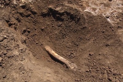 На Хмельниччині у давньому кургані знайшли людський скелет віком 2,5 тисяч років На Хмельниччині у давньому кургані знайшли людський скелет віком 2,5 тисяч років